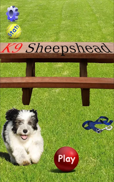 K9 Sheepshead (Schafkopf] [MOD: разблокированы все функции и уровни] Screenshot 1