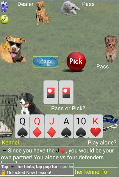 K9 Sheepshead (Schafkopf] [MOD: разблокированы все функции и уровни] Screenshot 2