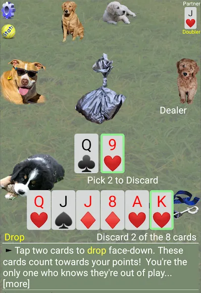 K9 Sheepshead (Schafkopf] [MOD: разблокированы все функции и уровни] Screenshot 3