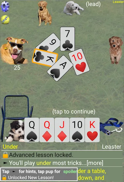 K9 Sheepshead (Schafkopf] [MOD: разблокированы все функции и уровни] Screenshot 4