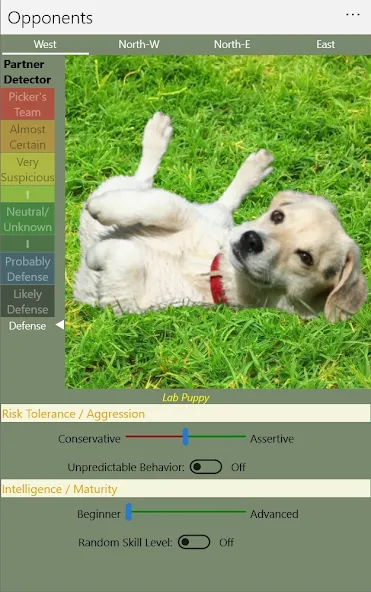 K9 Sheepshead (Schafkopf] [MOD: разблокированы все функции и уровни] Screenshot 5
