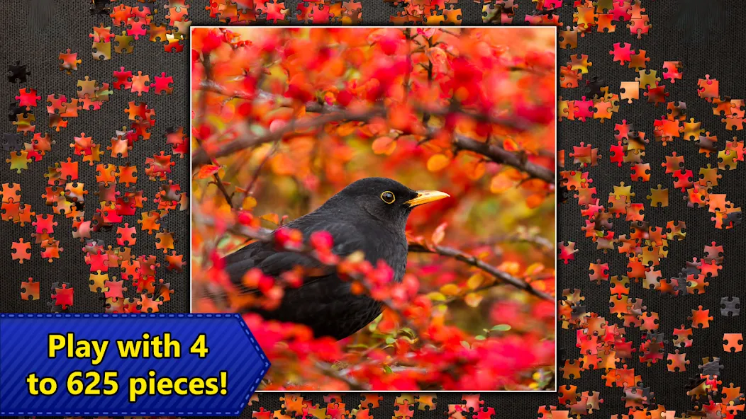 Jigsaw Puzzles Epic [MOD: безлимитные подсказки и монеты] Screenshot 5