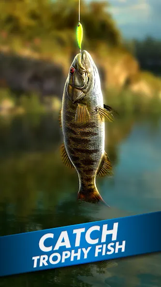 Ultimate Fishing! Fish Game [MOD: безлимитные деньги и приманки] Screenshot 1