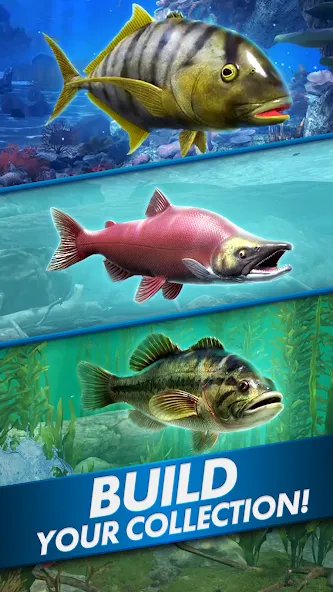 Ultimate Fishing! Fish Game [MOD: безлимитные деньги и приманки] Screenshot 5
