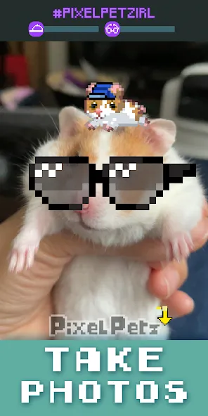 Pixel Petz [MOD: много монет и ресурсов] Screenshot 4