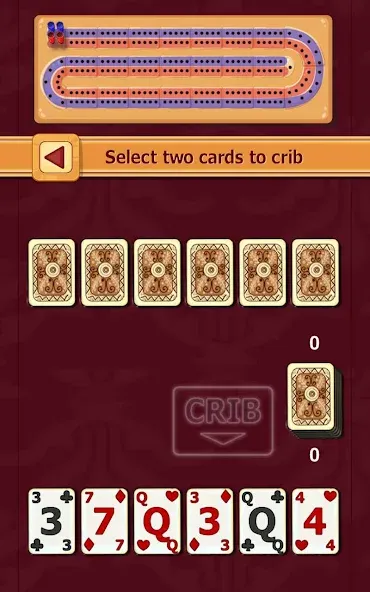 Cribbage [MOD: бесконечные очки и подсказки] Screenshot 4