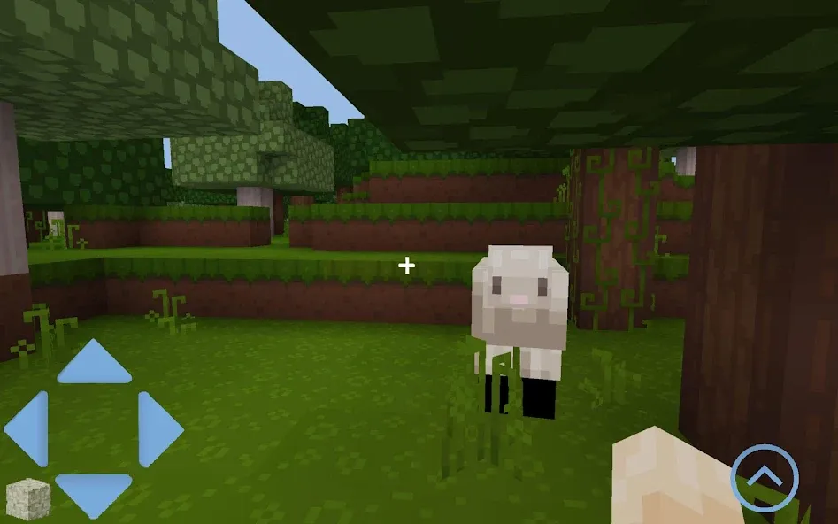 Craft World [MOD: бесконечные ресурсы и открытые возможности] Screenshot 2