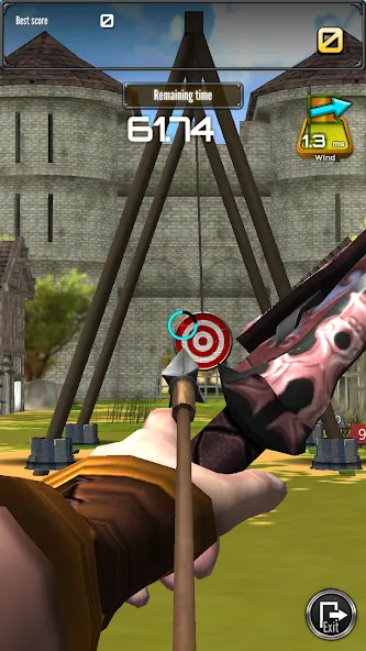 Archery Big Match [MOD: точная стрельба и много денег] Screenshot 5