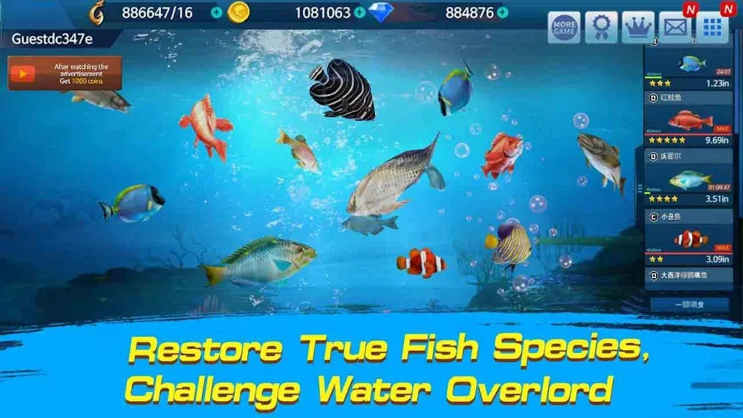 Fishing Championship [MOD: безлимитные монеты и энергии] Screenshot 2