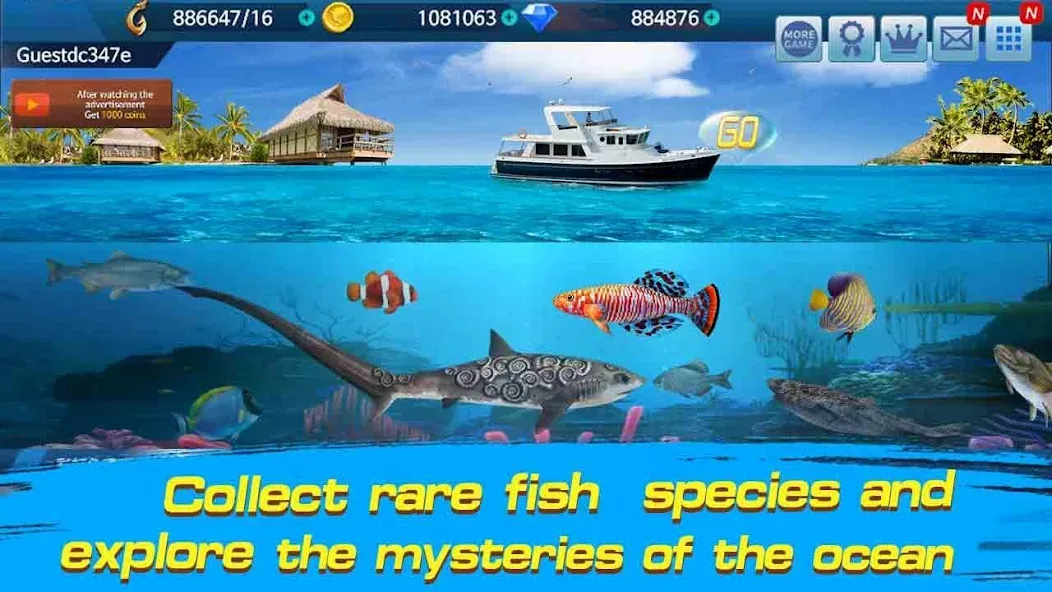 Fishing Championship [MOD: безлимитные монеты и энергии] Screenshot 3