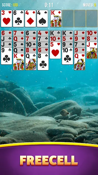 Solitaire Bliss Collection [MOD: разблокированы все пасьянсы и бонусы] Screenshot 4