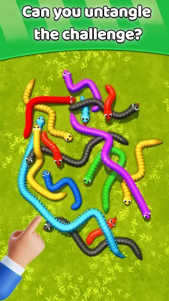 Tangled Snakes Puzzle Game [MOD: разблокированы все уровни и подсказки] Screenshot 5