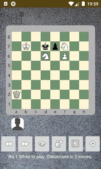 chess problems [MOD: решены все шахматные задачи] Screenshot 2