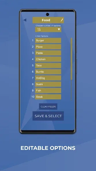 Wheel Spinner - Random Picker [MOD: без рекламы и разблокированы все темы] Screenshot 4