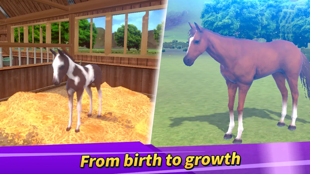 Derby Life : Horse racing [MOD: много денег и быстрые лошади] Screenshot 2