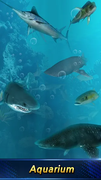 Monster Fishing 2024 [MOD: безлимитные деньги и открытые локации] Screenshot 2