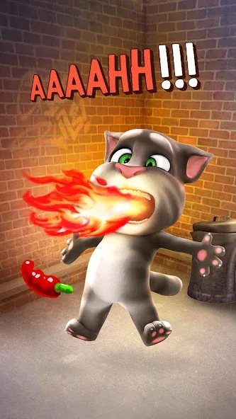 Talking Tom Cat [MOD: много денег и все предметы открыты] Screenshot 4