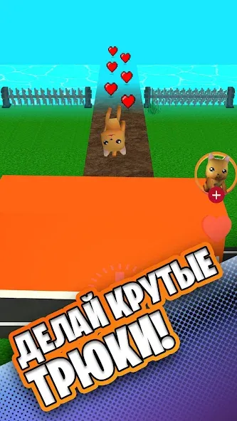 Simbachka Run [MOD: бесконечные монеты и жизни] Screenshot 2