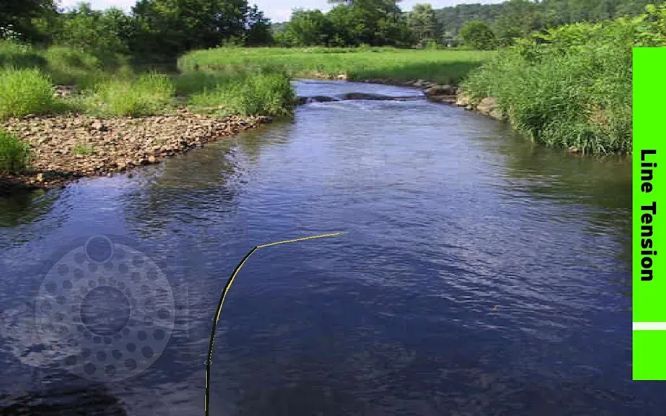 Fly Fishing Simulator [MOD: безлимитные деньги и приманки] Screenshot 4