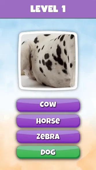 What is it? Pics Trivia Quiz [MOD: открыты все уровни и подсказки] Screenshot 2