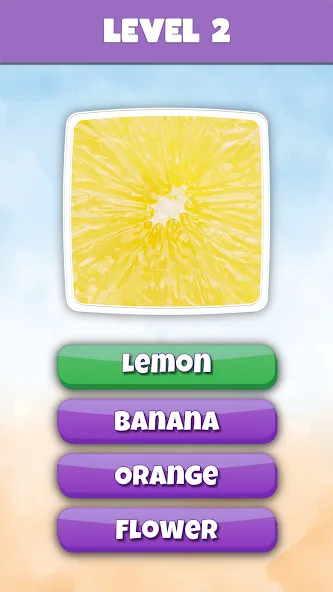 What is it? Pics Trivia Quiz [MOD: открыты все уровни и подсказки] Screenshot 3
