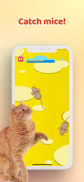 Games for Cat－Toy Mouse &amp; Fish [MOD: новые игрушки и рыбки] Screenshot 1