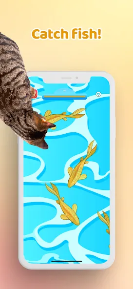 Games for Cat－Toy Mouse &amp; Fish [MOD: новые игрушки и рыбки] Screenshot 3