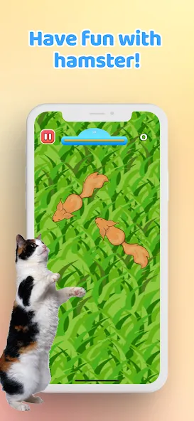 Games for Cat－Toy Mouse &amp; Fish [MOD: новые игрушки и рыбки] Screenshot 5
