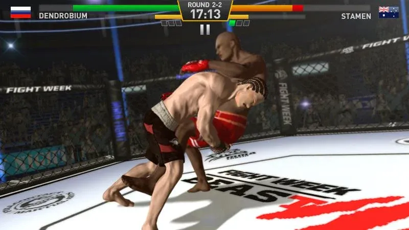 Fighting Star [MOD: безлимитные деньги и усиленные бойцы] Screenshot 4