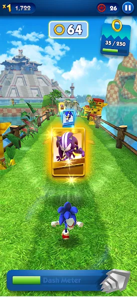 Sonic Dash - Endless Running [MOD: безлимитные монеты и разблокированные персонажи] Screenshot 4