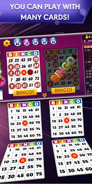 Bingo - Offline Bingo Game [MOD: безлимитные монеты и бонусы] Screenshot 1