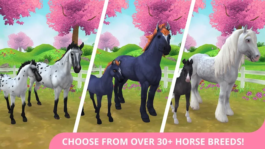 Star Stable Horses [MOD: безлимитные деньги и все лошади] Screenshot 1