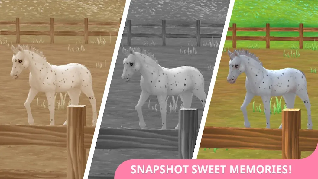 Star Stable Horses [MOD: безлимитные деньги и все лошади] Screenshot 4