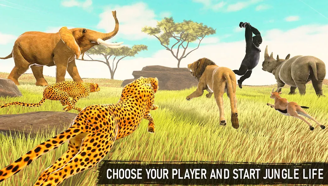 Savanna Safari: Land of Beasts [MOD: безлимитные деньги и открыты все животные] Screenshot 3