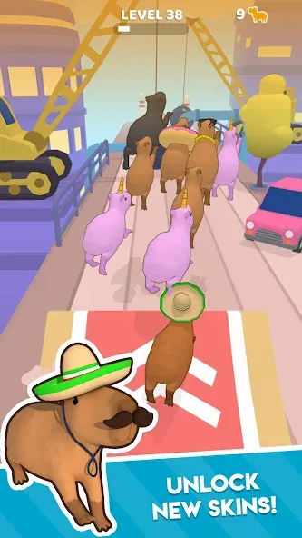 Capybara Rush [MOD: много монет и бонусов] Screenshot 3