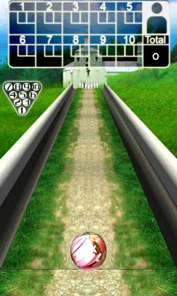 3D Bowling [MOD: безлимитные монеты и все шары] Screenshot 4