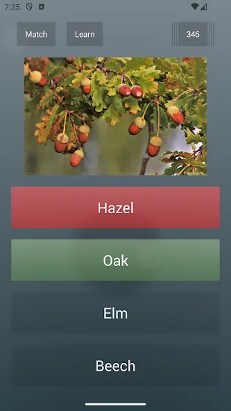 General Knowledge Quiz [MOD: безлимитные подсказки и открыты все вопросы] Screenshot 2