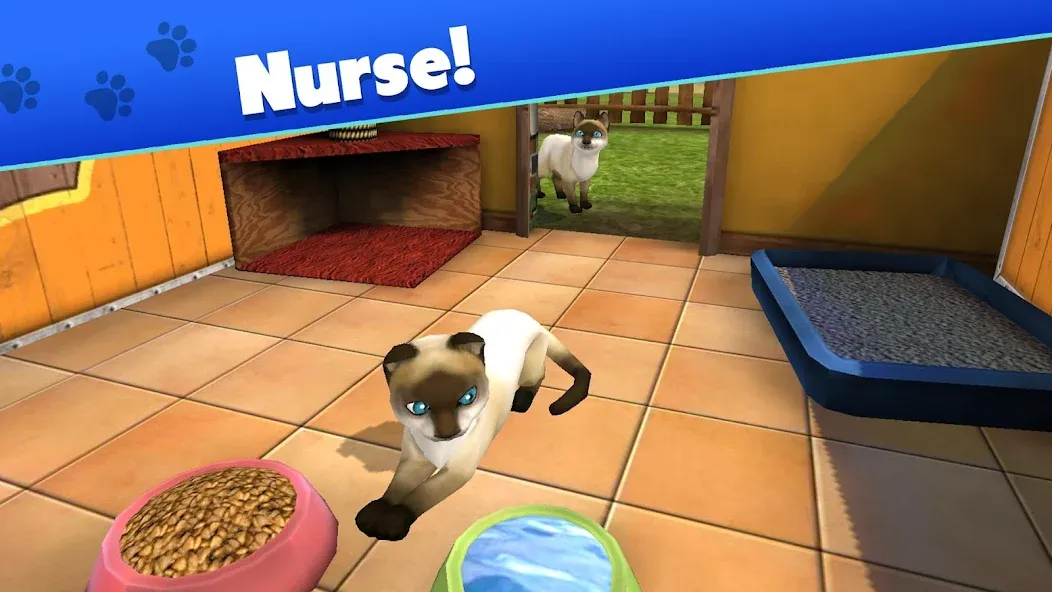 Pet World - My Animal Shelter [MOD: безлимитные деньги и ресурсы] Screenshot 3