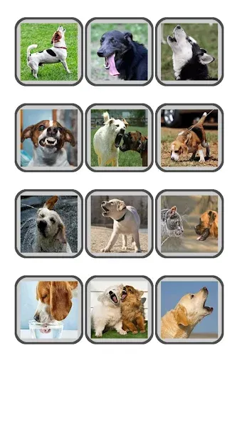 Dog Translator: Bark to Human [MOD: переводчик без ограничений и рекламы] Screenshot 5