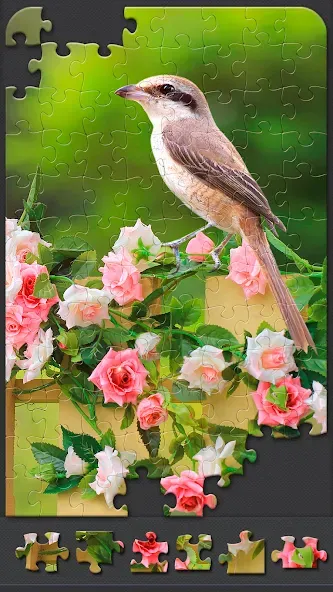 Jigsaw Puzzles for Adults [MOD: безлимитные подсказки и пазлы открыты] Screenshot 3