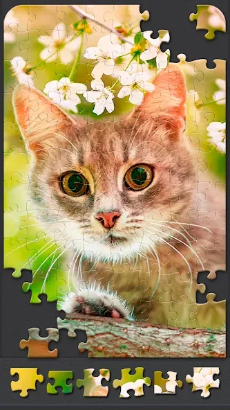 Jigsaw Puzzles for Adults [MOD: безлимитные подсказки и пазлы открыты] Screenshot 5