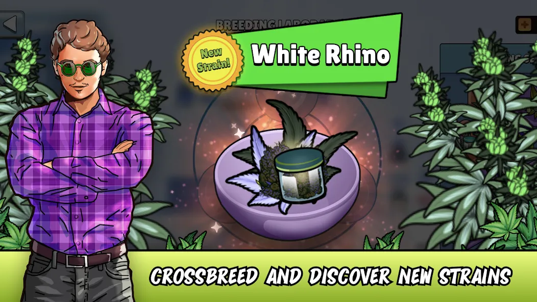 Weed City - Hemp Farm Tycoon [MOD: безлимитные деньги и ресурсы] Screenshot 1