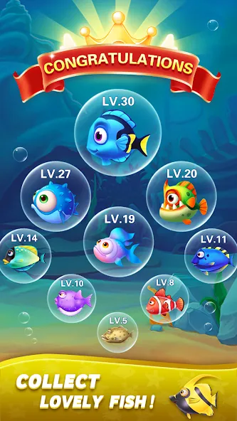 Block Ocean 1010 Puzzle Games [MOD: без рекламы и бесконечные подсказки] Screenshot 5