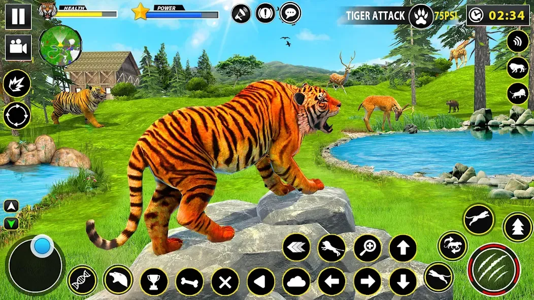 Tiger Simulator Lion games 3D [MOD: безлимитные деньги и энергия] Screenshot 4