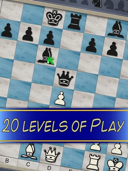 Chess V+ - board game of kings [MOD: открыты все доски и фигуры] Screenshot 5