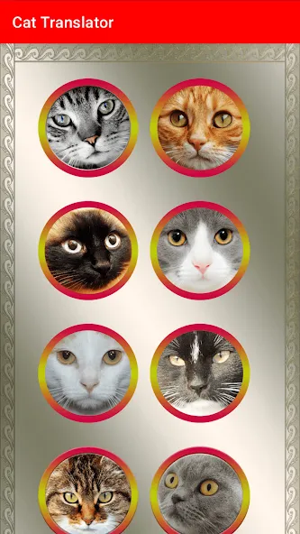 Translator for Cats Prank [MOD: переводчик кошачьих звуков без ограничений] Screenshot 3