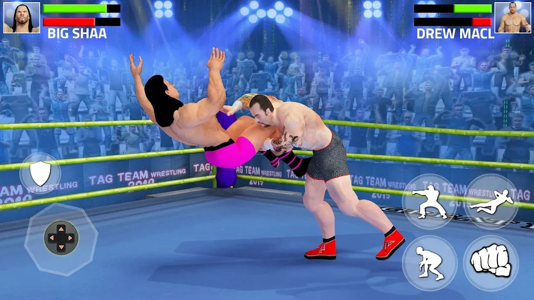 Tag Team Wrestling Game [MOD: без рекламы и много денег] Screenshot 5