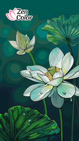 Zen Color - Color By Number [MOD: без рекламы и всё открыто] Screenshot 1