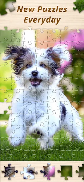 Jigsaw Premium Puzzles HD [MOD: премиум функции и все пазлы открыты] Screenshot 5