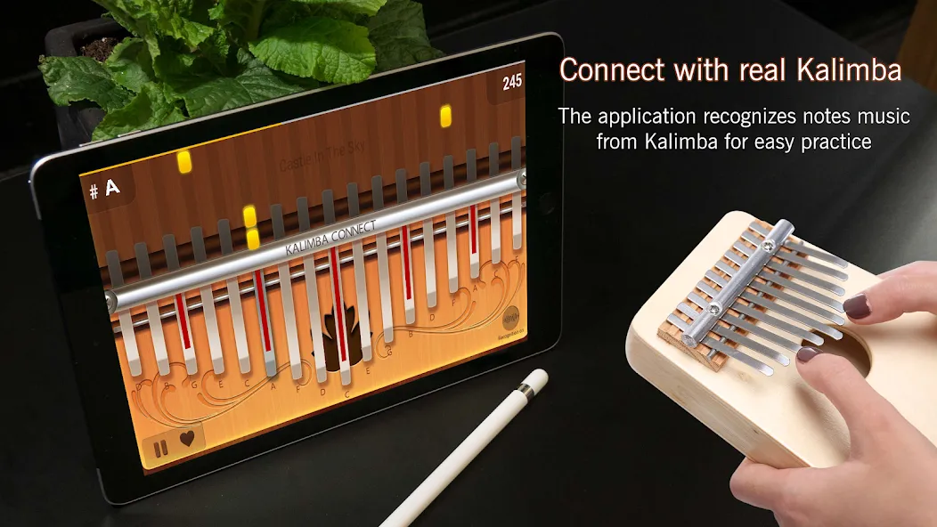 Kalimba Connect [MOD: разблокированы все уровни и песни] Screenshot 1
